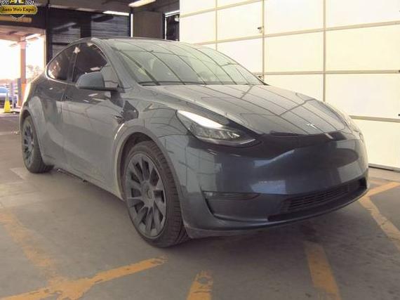 TESLA MODEL Y 2021 5YJYGDEE2MF194113 image
